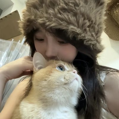 热播剧集